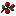 collect_berries